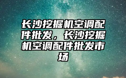 長沙挖掘機(jī)空調(diào)配件批發(fā)，長沙挖掘機(jī)空調(diào)配件批發(fā)市場