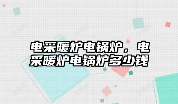 電采暖爐電鍋爐，電采暖爐電鍋爐多少錢