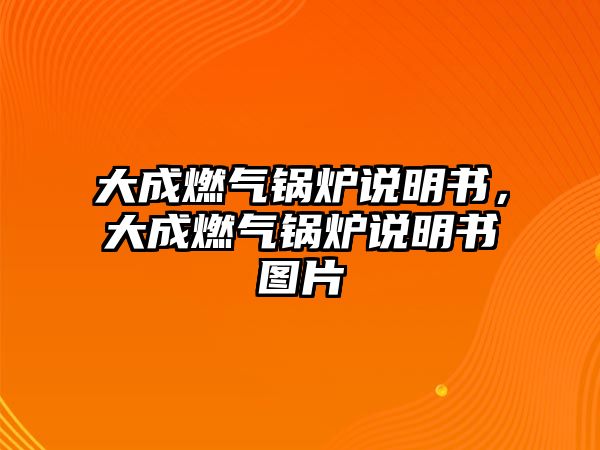 大成燃?xì)忮仩t說明書，大成燃?xì)忮仩t說明書圖片