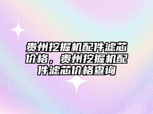 貴州挖掘機配件濾芯價格，貴州挖掘機配件濾芯價格查詢