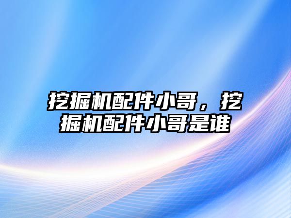 挖掘機配件小哥，挖掘機配件小哥是誰