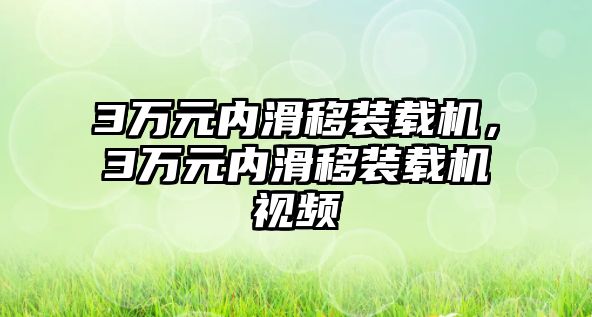 3萬元內滑移裝載機，3萬元內滑移裝載機視頻