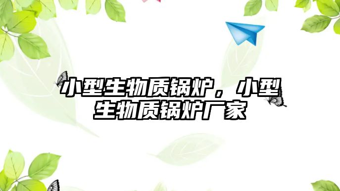 小型生物質(zhì)鍋爐，小型生物質(zhì)鍋爐廠家