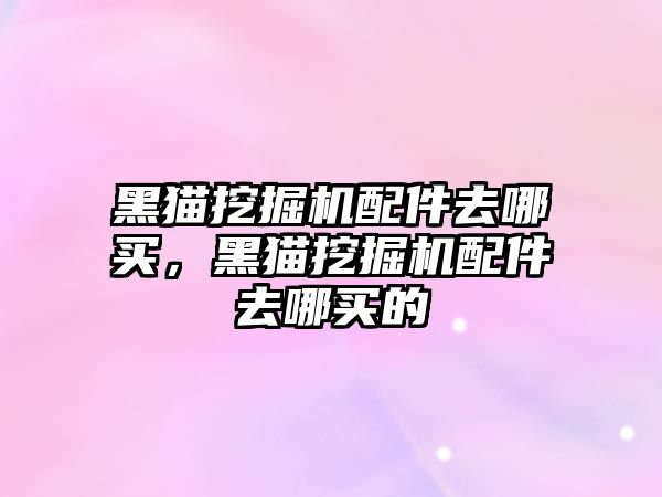 黑貓挖掘機配件去哪買，黑貓挖掘機配件去哪買的