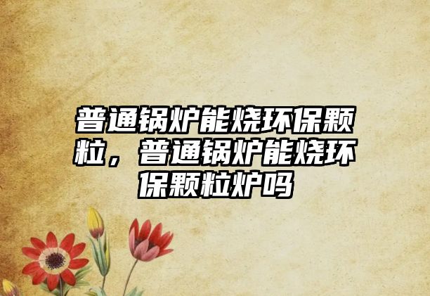 普通鍋爐能燒環(huán)保顆粒，普通鍋爐能燒環(huán)保顆粒爐嗎