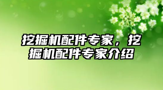 挖掘機配件專家，挖掘機配件專家介紹