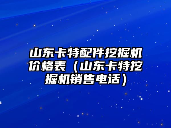 山東卡特配件挖掘機(jī)價格表（山東卡特挖掘機(jī)銷售電話）