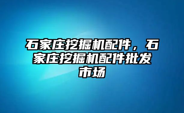 石家莊挖掘機配件，石家莊挖掘機配件批發(fā)市場