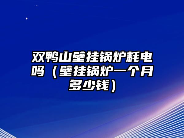 雙鴨山壁掛鍋爐耗電嗎（壁掛鍋爐一個(gè)月多少錢(qián)）