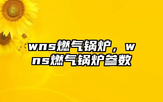 wns燃?xì)忮仩t，wns燃?xì)忮仩t參數(shù)