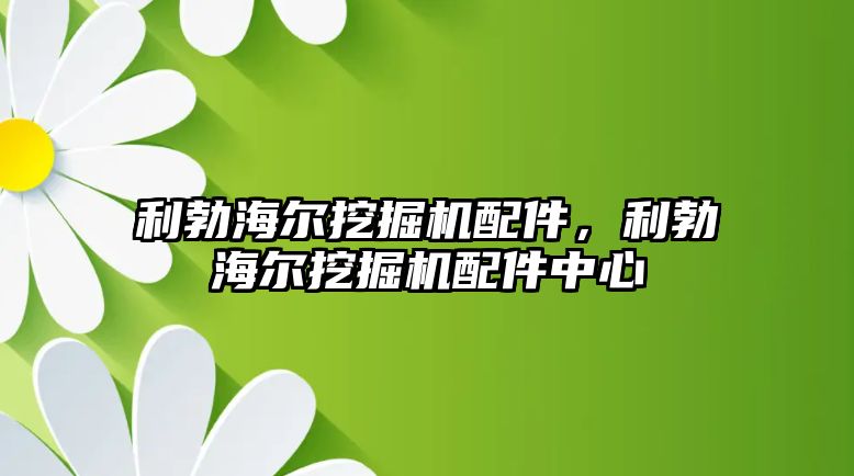 利勃海爾挖掘機配件，利勃海爾挖掘機配件中心