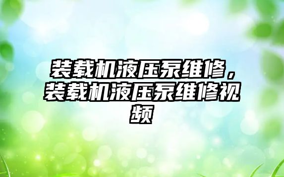 裝載機液壓泵維修，裝載機液壓泵維修視頻