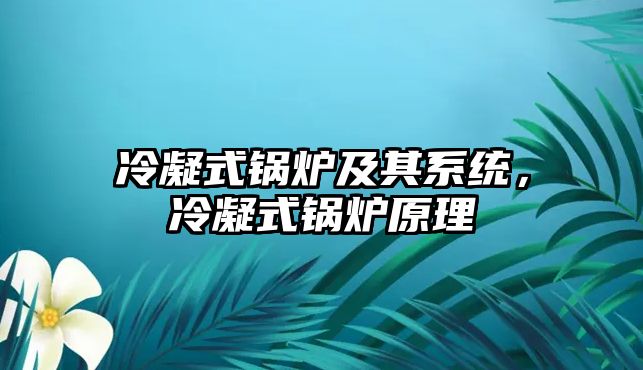 冷凝式鍋爐及其系統(tǒng)，冷凝式鍋爐原理