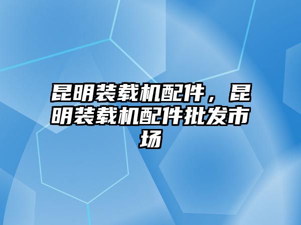 昆明裝載機(jī)配件，昆明裝載機(jī)配件批發(fā)市場