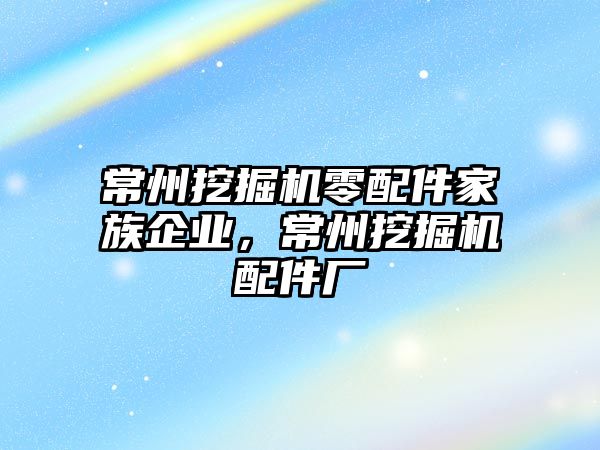 常州挖掘機零配件家族企業(yè)，常州挖掘機配件廠