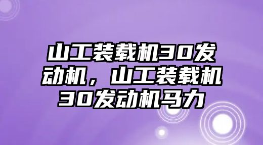 山工裝載機(jī)30發(fā)動(dòng)機(jī)，山工裝載機(jī)30發(fā)動(dòng)機(jī)馬力