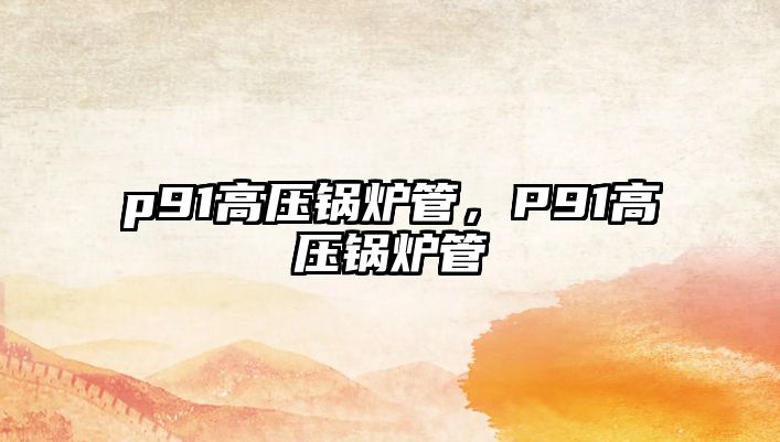 p91高壓鍋爐管，P91高壓鍋爐管