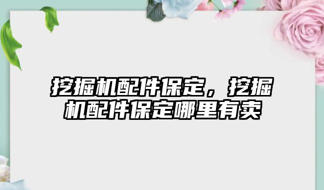 挖掘機(jī)配件保定，挖掘機(jī)配件保定哪里有賣