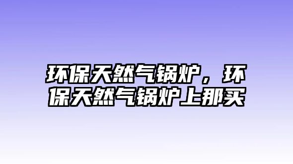 環(huán)保天然氣鍋爐，環(huán)保天然氣鍋爐上那買