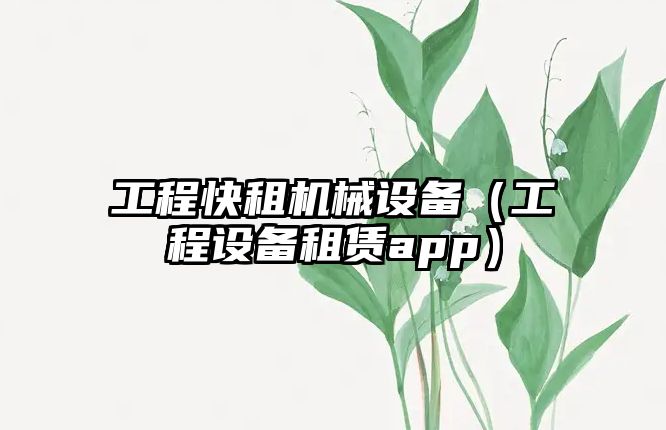 工程快租機(jī)械設(shè)備（工程設(shè)備租賃app）