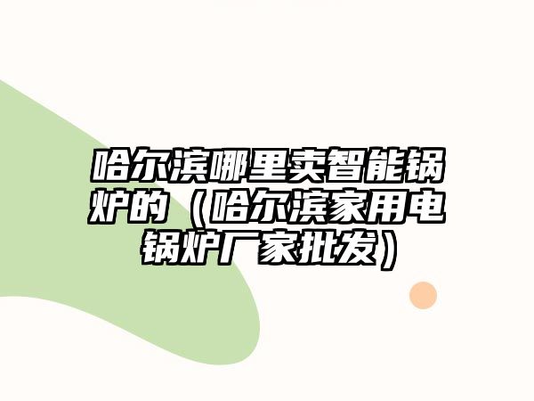 哈爾濱哪里賣(mài)智能鍋爐的（哈爾濱家用電鍋爐廠(chǎng)家批發(fā)）