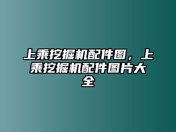 上乘挖掘機(jī)配件圖，上乘挖掘機(jī)配件圖片大全