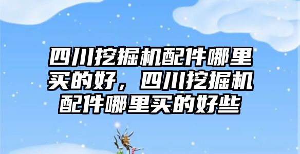 四川挖掘機配件哪里買的好，四川挖掘機配件哪里買的好些