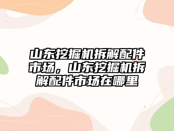 山東挖掘機拆解配件市場，山東挖掘機拆解配件市場在哪里