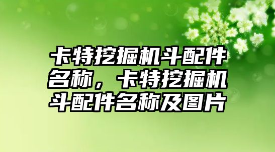 卡特挖掘機斗配件名稱，卡特挖掘機斗配件名稱及圖片