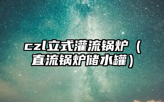 czl立式灌流鍋爐（直流鍋爐儲(chǔ)水罐）