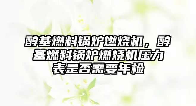 醇基燃料鍋爐燃燒機，醇基燃料鍋爐燃燒機壓力表是否需要年檢