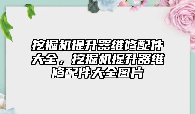 挖掘機提升器維修配件大全，挖掘機提升器維修配件大全圖片