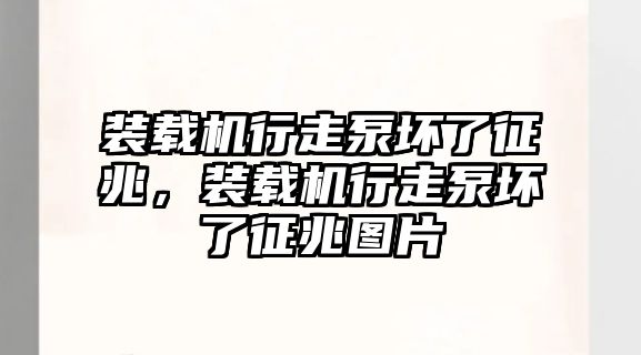 裝載機行走泵壞了征兆，裝載機行走泵壞了征兆圖片