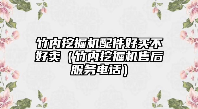 竹內挖掘機配件好買不好賣（竹內挖掘機售后服務電話）