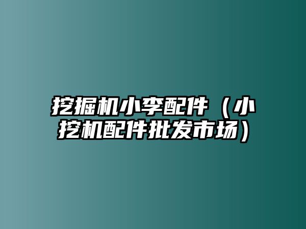 挖掘機小李配件（小挖機配件批發(fā)市場）