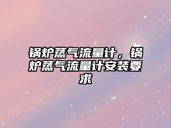 鍋爐蒸氣流量計，鍋爐蒸氣流量計安裝要求