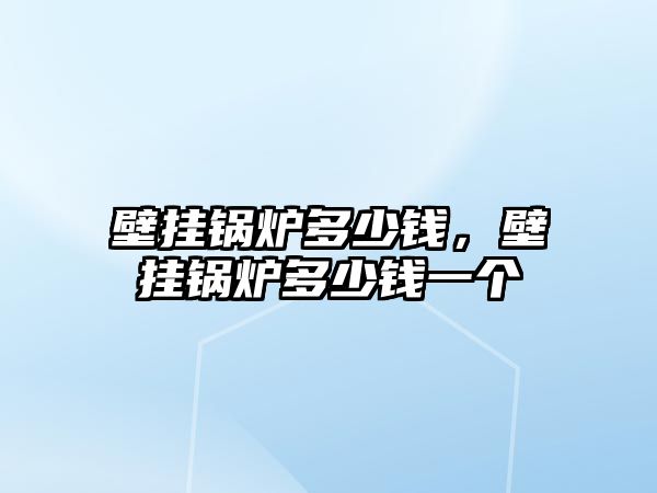 壁掛鍋爐多少錢，壁掛鍋爐多少錢一個