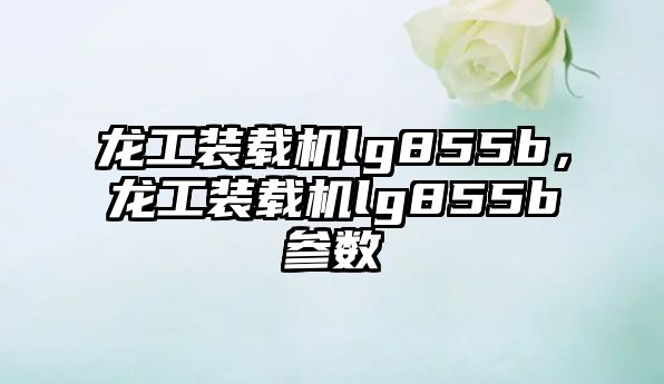 龍工裝載機lg855b，龍工裝載機lg855b參數(shù)