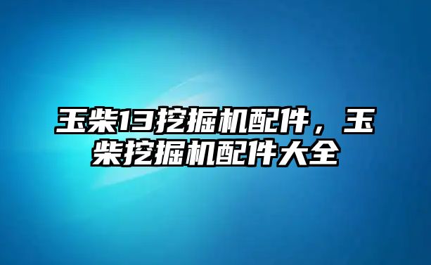 玉柴13挖掘機(jī)配件，玉柴挖掘機(jī)配件大全