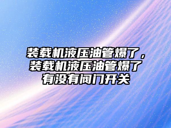 裝載機液壓油管爆了，裝載機液壓油管爆了有沒有閥門開關(guān)