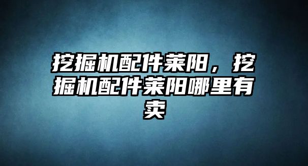 挖掘機配件萊陽，挖掘機配件萊陽哪里有賣