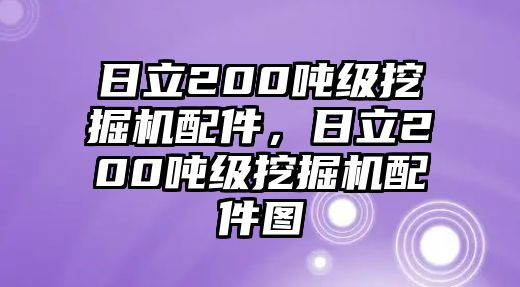 日立200噸級(jí)挖掘機(jī)配件，日立200噸級(jí)挖掘機(jī)配件圖