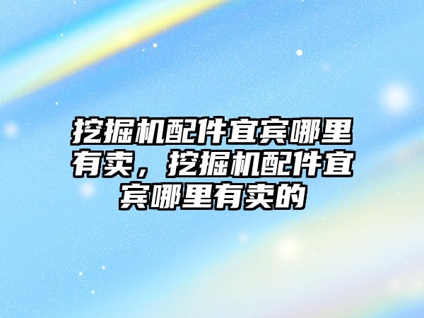 挖掘機配件宜賓哪里有賣，挖掘機配件宜賓哪里有賣的