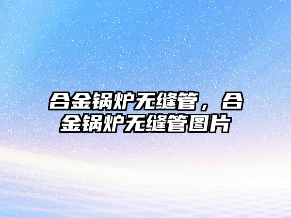 合金鍋爐無縫管，合金鍋爐無縫管圖片