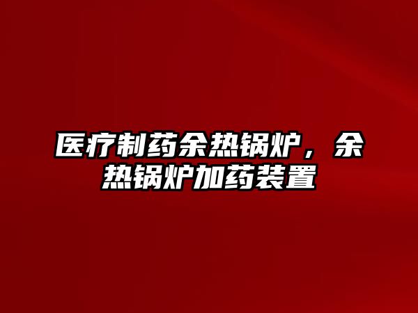 醫(yī)療制藥余熱鍋爐，余熱鍋爐加藥裝置