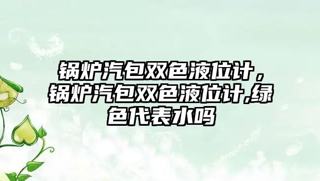 鍋爐汽包雙色液位計(jì)，鍋爐汽包雙色液位計(jì),綠色代表水嗎