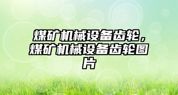 煤礦機械設(shè)備齒輪，煤礦機械設(shè)備齒輪圖片