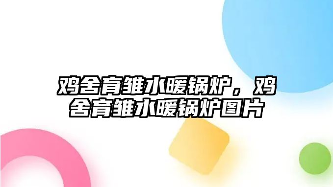 雞舍育雛水暖鍋爐，雞舍育雛水暖鍋爐圖片