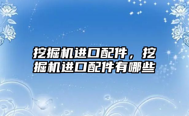 挖掘機進(jìn)口配件，挖掘機進(jìn)口配件有哪些