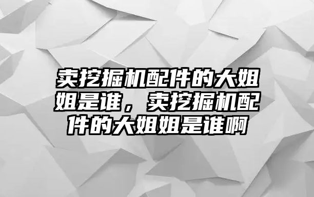 賣挖掘機(jī)配件的大姐姐是誰(shuí)，賣挖掘機(jī)配件的大姐姐是誰(shuí)啊